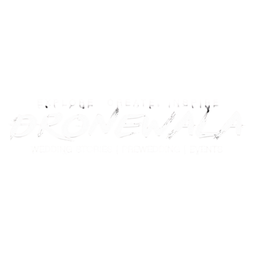 Dronewala Logo